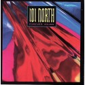 101 North - Forever yours LP featuring Living in somebodys dream / Forever yours / I wish that love would last / Somewhere somet
