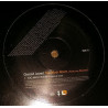 Gerald Levert featuring Mystikal - Too much room (LP version / Instrumental) Promo