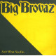Big Brovaz - Aint what you do (LP Version / Trackboyz Remix / Trackboyz Instrumental) Promo