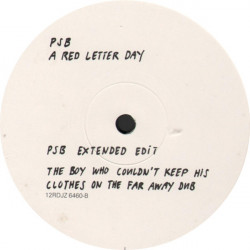Pet Shop Boys - A Red Letter Day (Motiv 8 Master Mix / Basement Jaxx Dub / PSB Edit) / The Boy....Dub (12" Vinyl Promo)