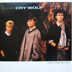 Aha - Cry Wolf (Extended / LP Version) / Maybe Maybe (12" Vinyl Record)  US Pressing