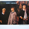Aha - Cry Wolf (Extended / LP Version) / Maybe Maybe (12" Vinyl Record)  US Pressing