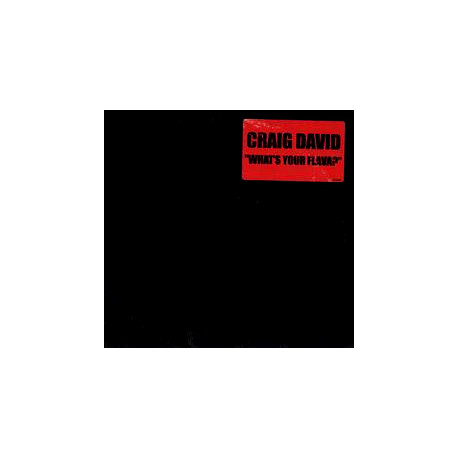 Craig David – What's Your Flava? (LP Version / Radio Edit / Inst / Acapella) 12" Vinyl Record Promo