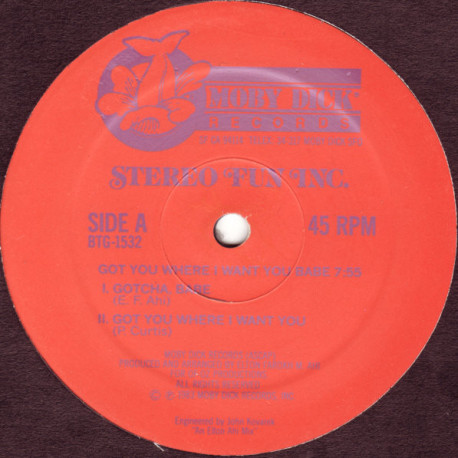Stereo Fun Inc - Got You Where I Want You Babe (3 Mixes) 12" Vinyl Promo