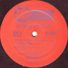 Stereo Fun Inc - Got You Where I Want You Babe (3 Mixes) 12" Vinyl Promo