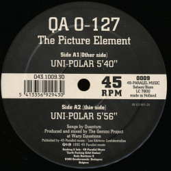 QA 0-127 The Picture Element - Uni Polar (Mix 1 Mix 2) 12" Vinyl Record