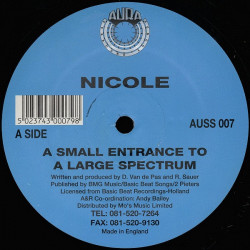 Nicole - A Small Entrance To A Large Spectrum / Pump It Up (2 Mixes) 12" Vinyl Record