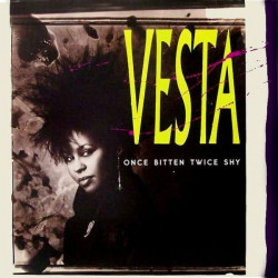 Vesta - Once Bitten Twice Shy (Extended Version / Dub) 12" Vinyl Record