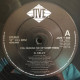 R Kelly - You Remind Me Of Something (Vocal / Inst) / Homie Lover Friend (Looking For My Homie Mix) 12" Vinyl