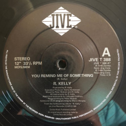 R Kelly - You Remind Me Of Something (Vocal / Inst) / Homie Lover Friend (Looking For My Homie Mix) 12" Vinyl