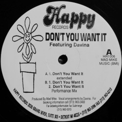 Davina - Dont You Want It (Original / Extended / Performance Mixes) 12" Vinyl Record Still In Plastic