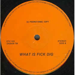 Friends Of Alex - What Is Fick Dig (2 Mixes) 12" Vinyl Record