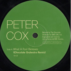 Peter Cox - What A Fool Believes (Chocolate Orchestra Remix / C O Inst)  Cover of Doobie Brothers Classic (12" Vinyl Record)