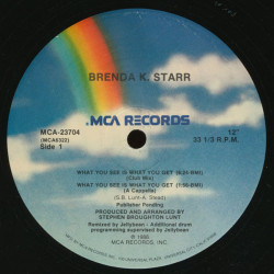 Brenda K Starr - What You See Is What You Get (2 Club Mixes / Dub / Acapella) 12" Vinyl Record SEALED