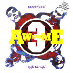 Awesome 3 - Take Me Away (Pin Up Girls) (Pin Down Mix / Dub / Vocapella) / Possessed (12" Vinyl Record)