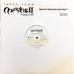 Meshell Ndegeocello - Leviticus Faggot / Deuteronomy (12" Vinyl Promo Record)
