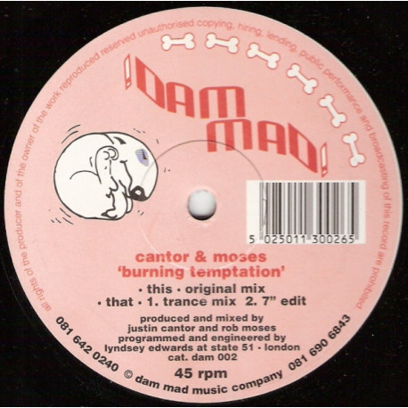 Cantor & Moses - Burning Temptation (Original Mix / Trance Mix / Edit) 12" Vinyl Record