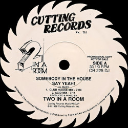 Two In A Room - Somebody In The House (Club Mix / Acid Mix) / A Passing Thought (Remix / LP Version) Vinyl Promo