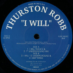 Thurston Robb - I Will (Trance Mix / Deep Mix / 12" Underground Mix / 7" Underground Mix) 12" Vinyl Record