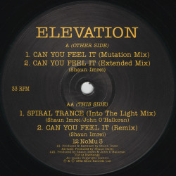 Elevation - Can You Feel It (Mutation Mix / Extended / Remix) / Spiral Trance (Into The Light Mix) 12" Vinyl