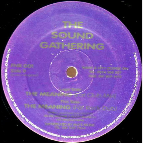 Sound Gathering – The Meaning (Fat Club Mix / Fat Rock Dub) 12" Vinyl Record