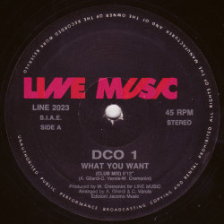 DCO 1 - What You Want (Club Mix / Inst) / Sax Me (12" Vinyl Record)