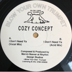 Cozy Concept - I Dont Need Ya (Vocal Mix / Acid Mix) 12" Vinyl Record