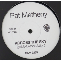 Pat Metheny - Across the sky (2 Goldie mixes) Vinyl Promo