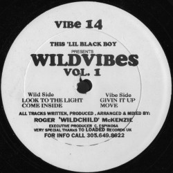 Wildvibes Vol 1 - Look To The Light / Come Inside / Givin It Up / Move (produced by Wildchild)