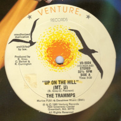 Trammps - Up On The Hill (Long Version / Instrumental) 12" Vinyl Record