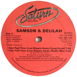 Samson & Delilah - I Can Feel You Love Slippin Away (Long Version / Radio Mix / Inst / Acapella) 12" Vinyl