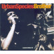 Urban Species - Brother (3 mixes)/The consequence