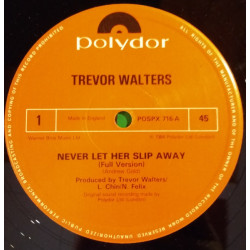 Trevor Walters - Never Let Her Slip Away (cover of Andrew Gold) / You Make Me Feel (12" Vinyl Record)