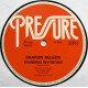 Sharon Nelson - Standing Ovation (Original / Club Mix) 12" Vinyl Record