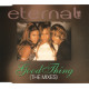 Eternal - Good thing (Radio mix / Frankie Knuckles Vocal Club mix / Bottom Dollar Vocal Club mix / DARC Velvet mix)