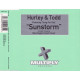 Hurley & Todd - Sunstorm (Mike Koglin Remix / Club Caviar Remix / Radio Edit) CD Single