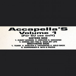 Accapellas Volume 1 - 11 Tracks feat Im Every Woman / Useless / Weekend / Tears / Shelter / Gonna Get You