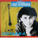 Raul Orellana - Guitarra LP (8 Tracks) feat Real Wild House / Entre Dos Aguas / Toros / Gitana / Quisiera