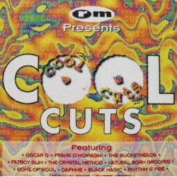 Cool Cuts - 2 LP feat tracks by Bucketheads / Oscar G / Daphne / Lil Louis / Natural Born Grooves / Fatboy Slim (12 Tracks)