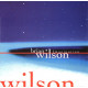 Brian Wilson - Imagination featuring Your imagination / She says that she needs me / South American / Where has love been / Keep