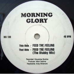 Morning Glory - Feed The Feeling (Original / Stubby Mix) 12" Vinyl Record