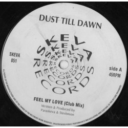 Dusk Till Dawn - Feel My Love (Club Mix / Dub / Instrumental) 12" Vinyl Record