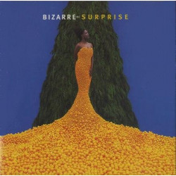 (CD) Bizarre Inc - Surprise feat Keep the music strong / The feel is real / Surprise / Get up / Never give you up / Love groove
