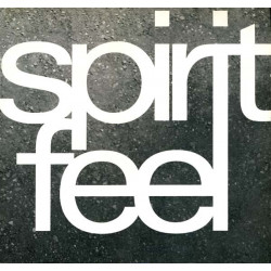 Spirit Feel - Rejoice (Mystic Span Mix) / Hipslow (Bio Acoustic Mix) / Unfolding Towards The Light (Moon Circle Mix)