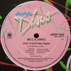 Bell & James - Livin It Up (Friday Night) / Dont Let The Man Get You (12" Vinyl Record)