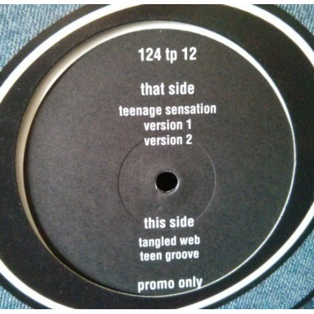Credit To The Nation - Teenage Sensation (Version 1 / Version 2) / Tangled Web / Teen Groove (Promo Vinyl)
