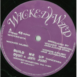 Dyan & Jam Juan - Build Me Up (Dance Mix / Original Mix / radio Edit) 12" Vinyl Record
