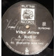 Vibe Alive - Rock It (Original Mix / Acorn Arts Remix) 12" Vinyl Record