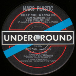Mars Plastic - What You Wanna Be (Mars Plastic Mix / Dub Tribal / Extended Mix / Fast Mover Mix) 12" Vinyl Record