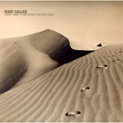 Terry Callier - I Dont Want To See Myself (2 Heller & Farley Mixes / 2 Kings Of Tomorrow Vocal Mixes) Double 12" Vinyl